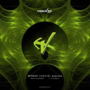 Gabrini (Matt Krilert Remix)