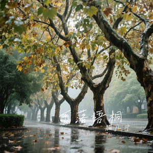 雨落梧桐