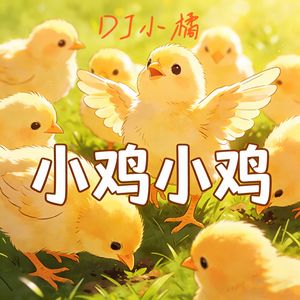 小鸡小鸡