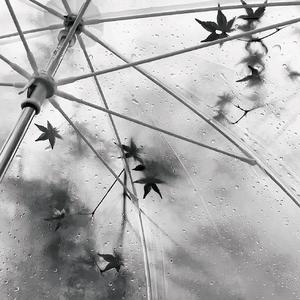 抹除（Cover：Q4tar/tyiop7L）