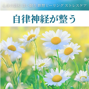 - Calming down - 心落ち着く