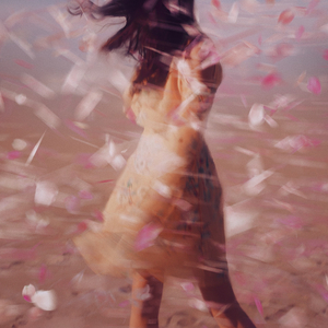 꽃비가 내리는 날에