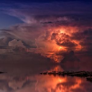 花期太短（prod by.Lion-Z狮子）