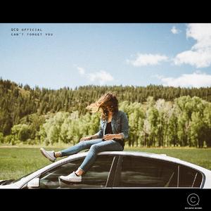 Theis EZ-Can't forget you（QCQ official Remix）