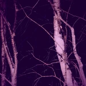 Моему убитому режиму