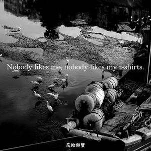 Nobody likes me, nobody likes my t-shirts