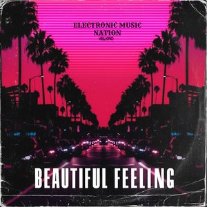 Electronic Feeling