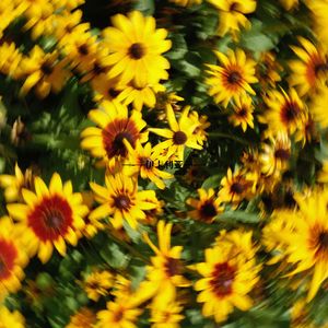 伊卡利亚 All band version