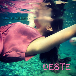 Questa canzone non è reale