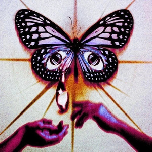 swallowtail butterfly