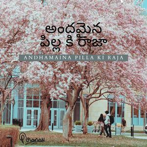 Andhamaina pilla ki raja