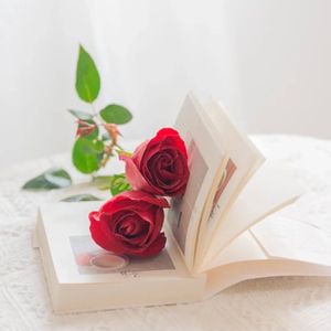 《家乡的岁月回响》