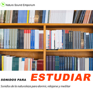Sonidos Para Estudiar - estudiar, meditar, dormir, sonidos relajantes- Parte 1