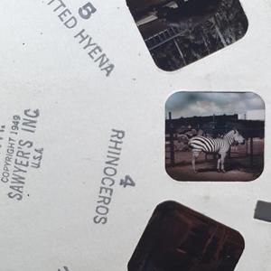 "Megacorp, (or how I learned to stop caring and love the beat rarity 9.5)" 29/07/2022