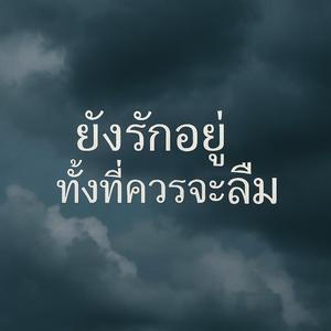 ยังรักอยู่...ทั้งที่ควรจะลืม