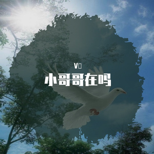 小哥哥在吗无损