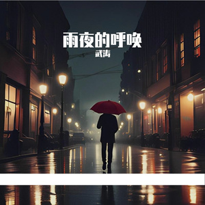 雨夜的呼唤
