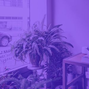 一尘不染零售印象数