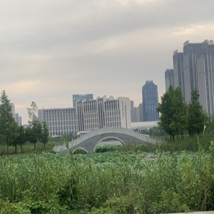保护环境