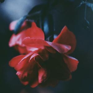 独白——记priest《默读》费渡场景联想曲