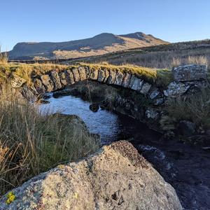 Meillionen o Feirionnydd