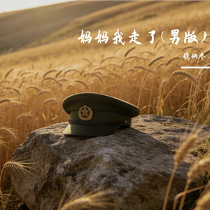 妈妈我走了(男版)