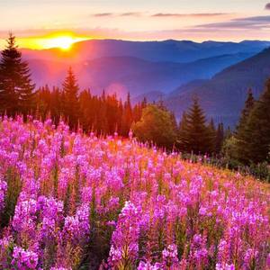 岁月的痕迹 - - 输出 - Stereo Out