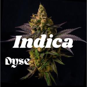 Indica