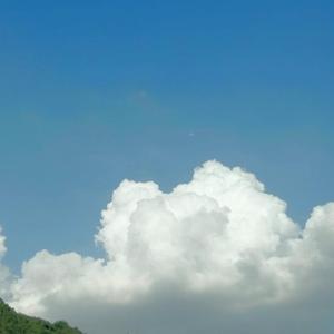 平淡的日子里泛着光