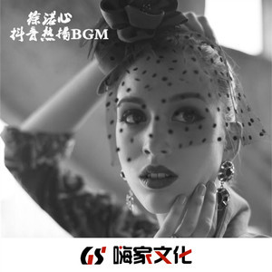 抖音热播BGM(DJ版)