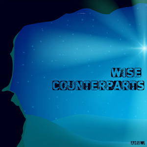 Wise Counterparts