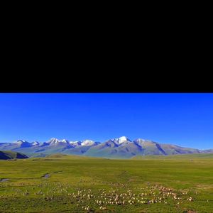 回忆里无奈叹息