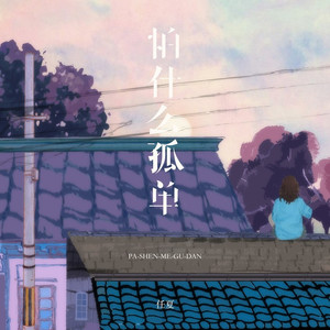 怕什么孤单 (DJEva版)