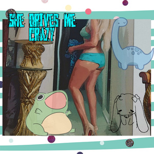 She Drives Me Crazy (Cover)