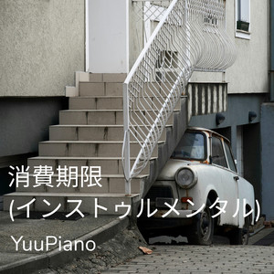 消費期限 (インストゥルメンタル)