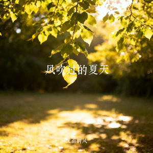 风吹过的夏天