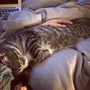 Andrew Rosborough And The Umbrella Parade-Umbrella（诡谲 remix）