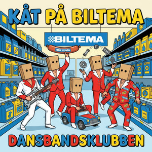 KÅT PÅ BILTEMA