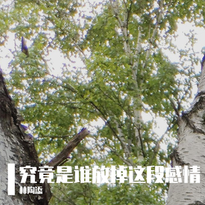 究竟是谁放掉这段感情