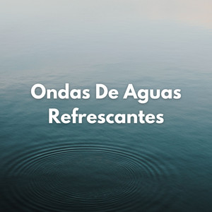 Vertederos Momentáneos