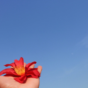 我们甚至失去了黄昏（We Have Lost Even）