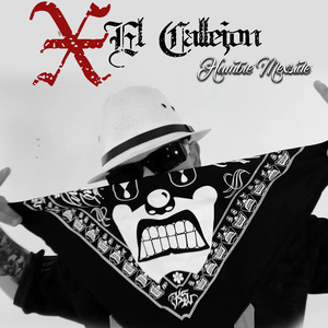 X el Callejon