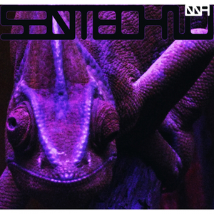 Ibossim (Android Cartel Remix)