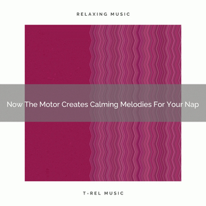 Sleepy Noise For Return, Loneliness, And Fullstack
