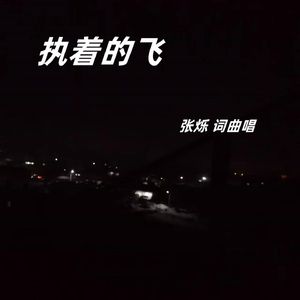 执着的飞