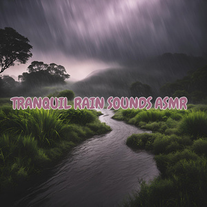 Kansas City Koans: Calming Rainy Day Reflections