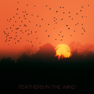 Feathers in the Wind