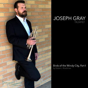 Birds of the Windy City, Pt. I: II. Mourning Dove (City Rain)