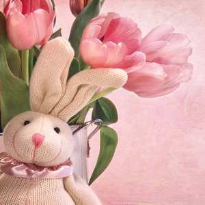 La Tulipe 伴奏