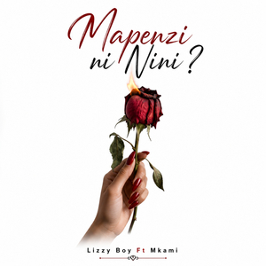 Mapenzi Ni Nini